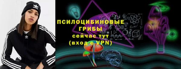 молекула духа Алексин