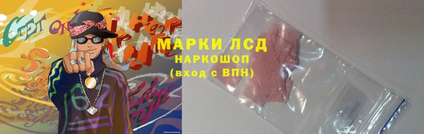 стафф Алзамай