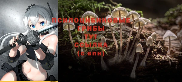 молекула духа Алексин