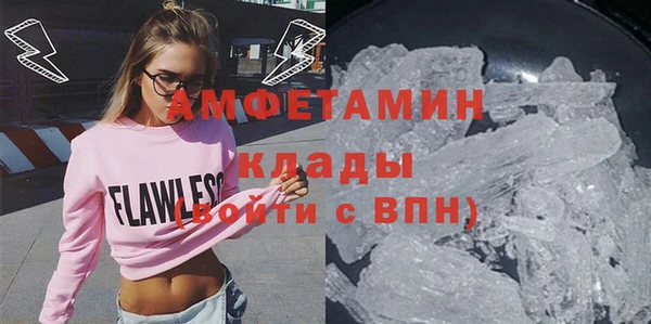 молекула духа Алексин